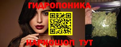 эйфоретик Кимры